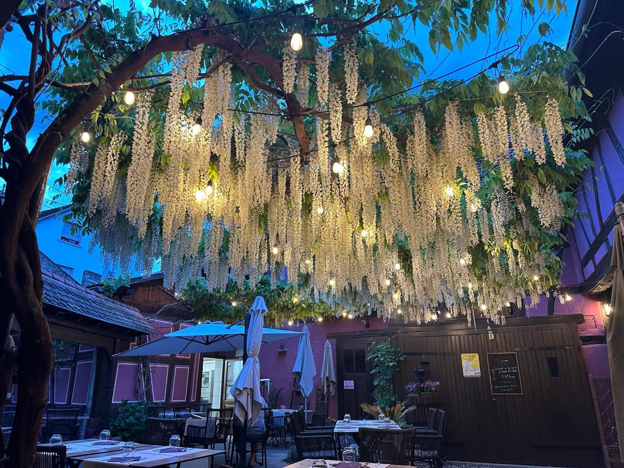 奥柏格梅赛布格酒店 Châtenois 外观 照片
