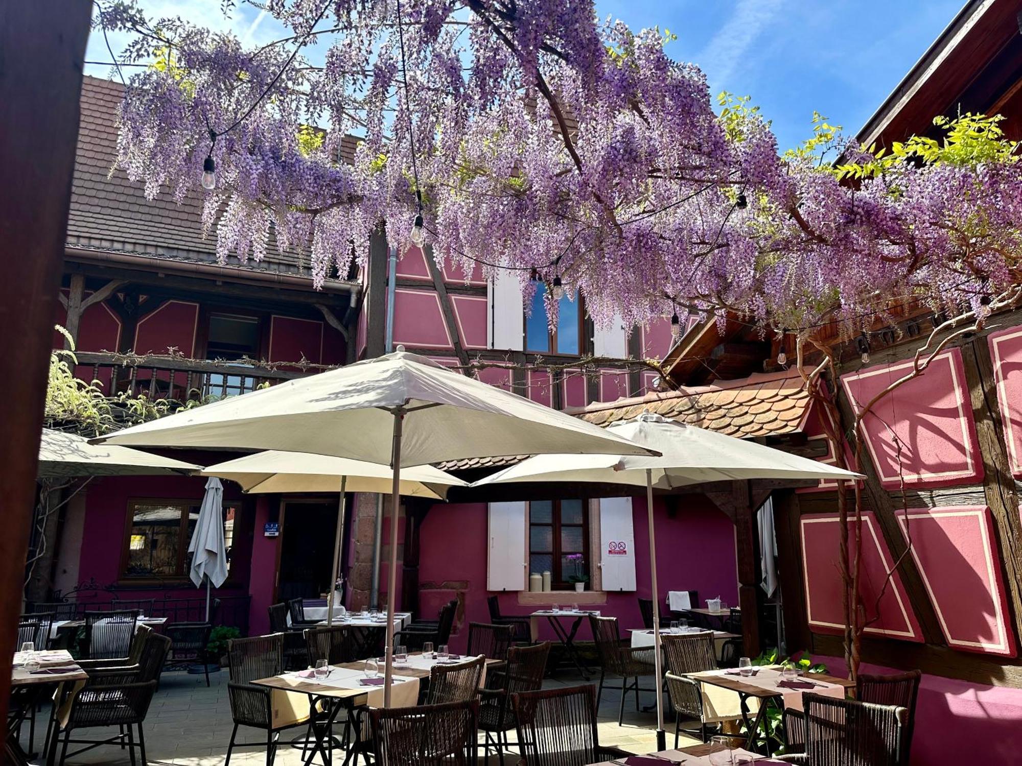 奥柏格梅赛布格酒店 Châtenois 外观 照片