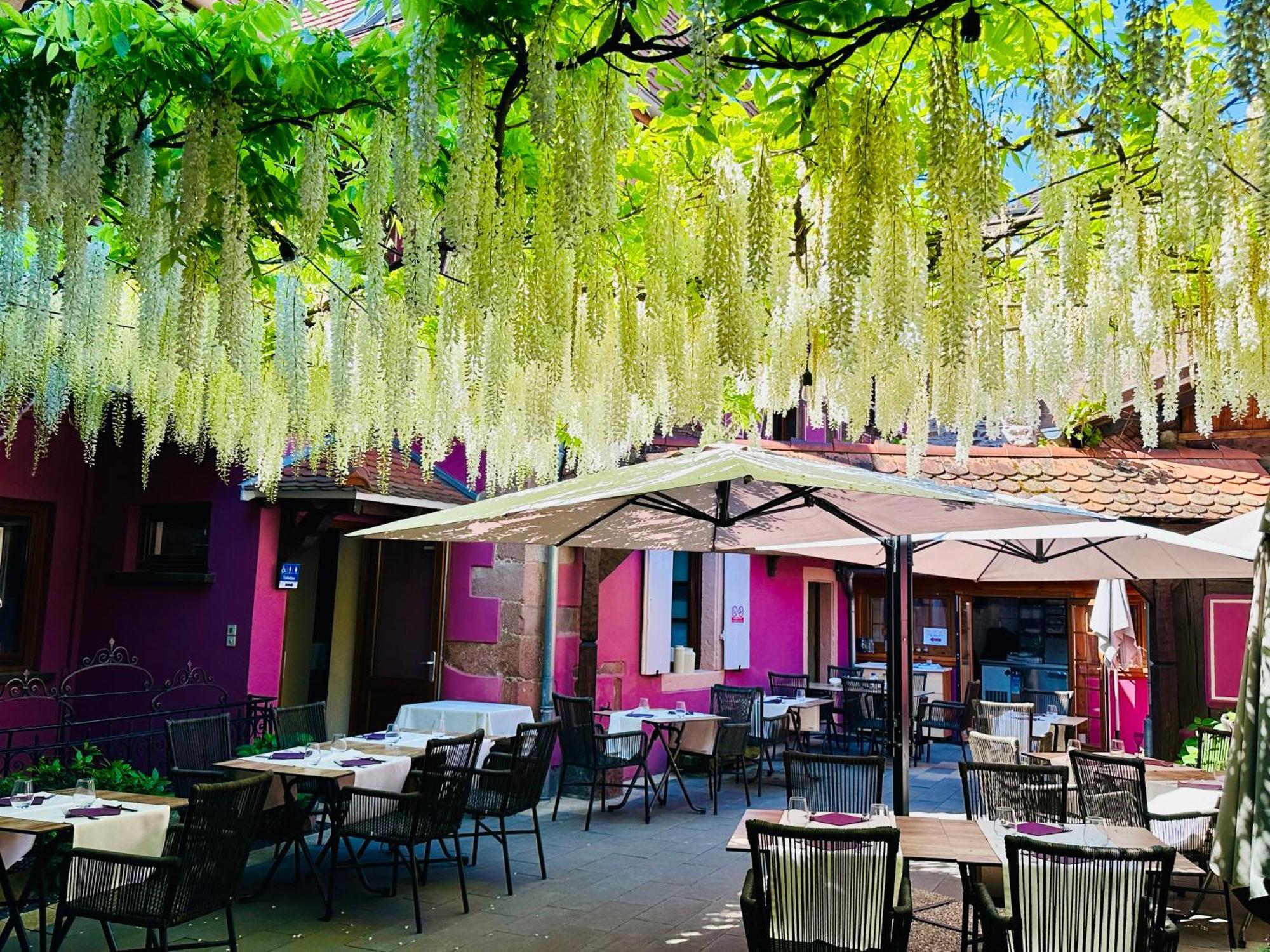 奥柏格梅赛布格酒店 Châtenois 外观 照片