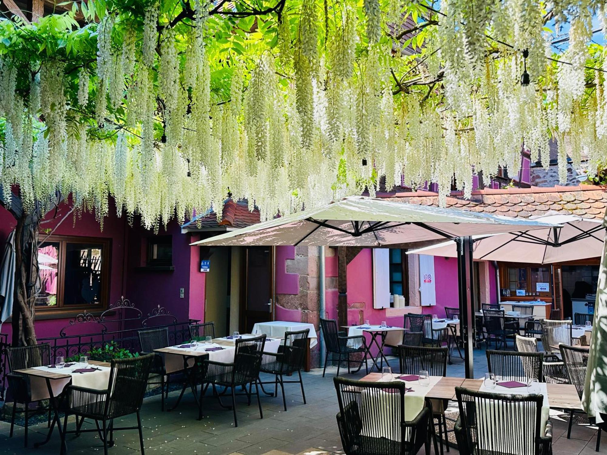 奥柏格梅赛布格酒店 Châtenois 外观 照片