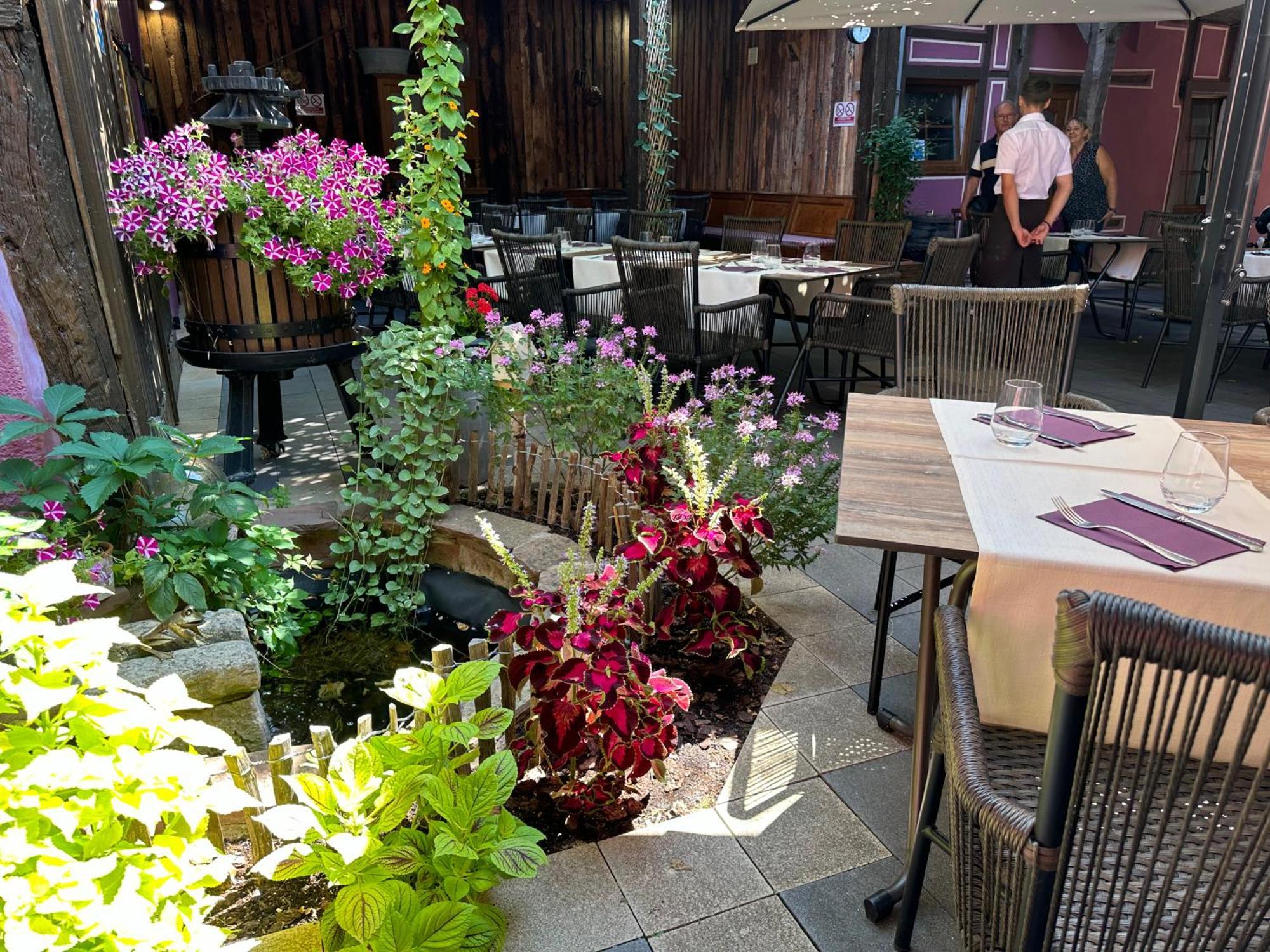 奥柏格梅赛布格酒店 Châtenois 外观 照片