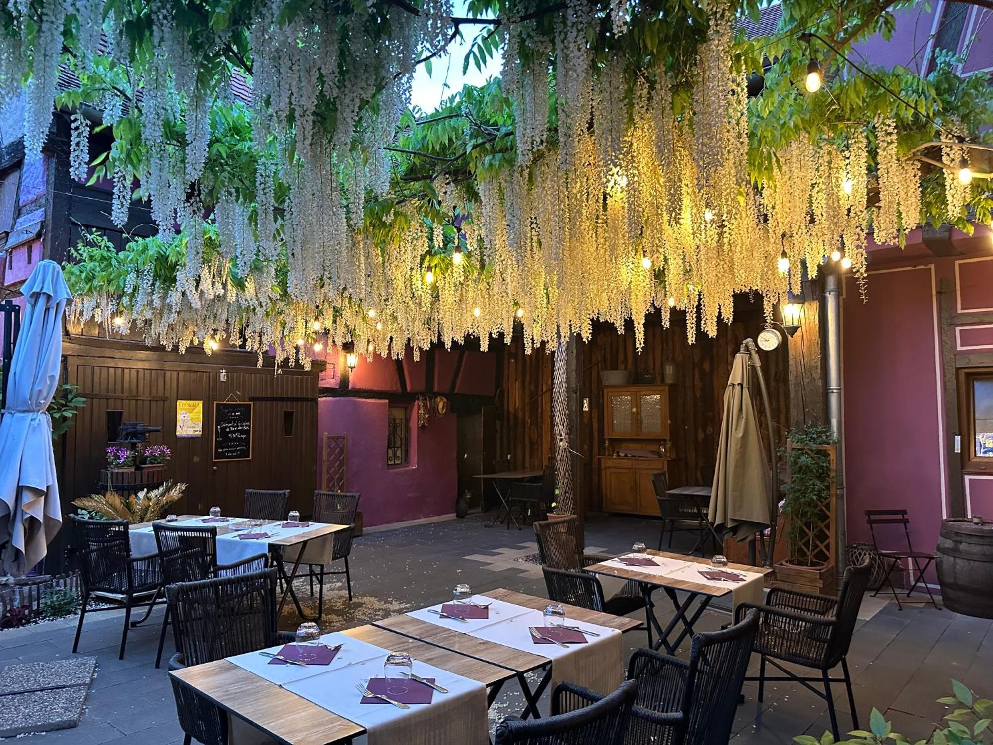 奥柏格梅赛布格酒店 Châtenois 外观 照片